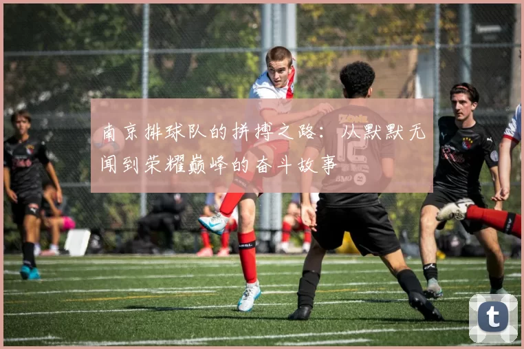 南京排球队的拼搏之路：从默默无闻到荣耀巅峰的奋斗故事