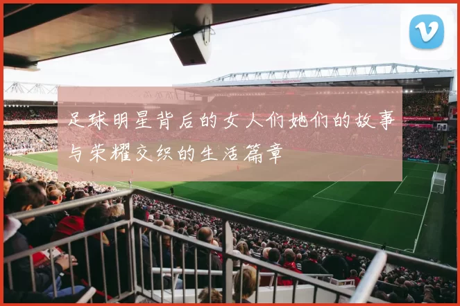 足球明星背后的女人们她们的故事与荣耀交织的生活篇章