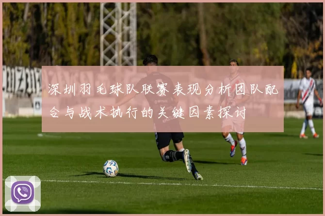深圳羽毛球队联赛表现分析团队配合与战术执行的关键因素探讨