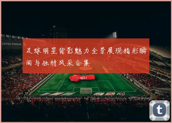 足球明星背影魅力全景展现精彩瞬间与独特风采合集