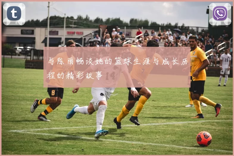 与陈丽畅谈她的篮球生涯与成长历程的精彩故事