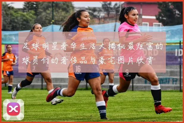 足球明星奢华生活大揭秘最炫富的球员们的奢侈品与豪宅图片欣赏