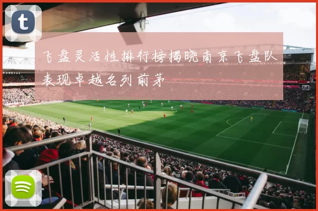 飞盘灵活性排行榜揭晓南京飞盘队表现卓越名列前茅