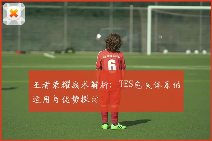 王者荣耀战术解析：TES包夹体系的运用与优势探讨