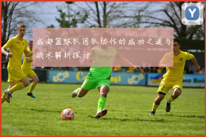 成都篮球队团队协作的成功之道与战术解析探讨