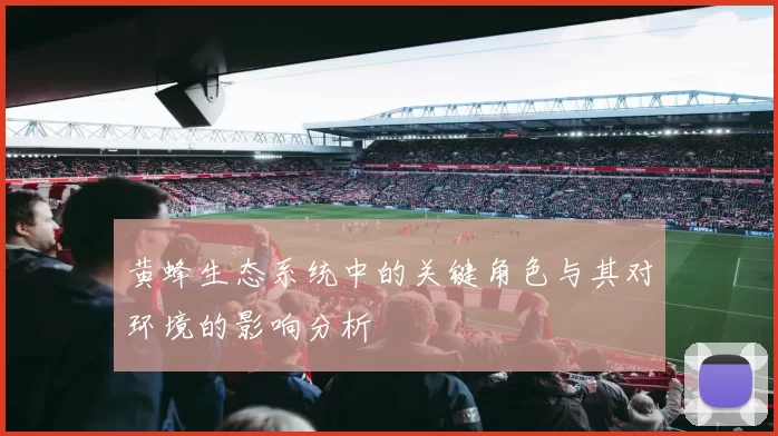 黄蜂生态系统中的关键角色与其对环境的影响分析
