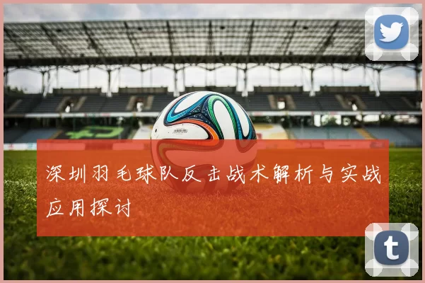 深圳羽毛球队反击战术解析与实战应用探讨