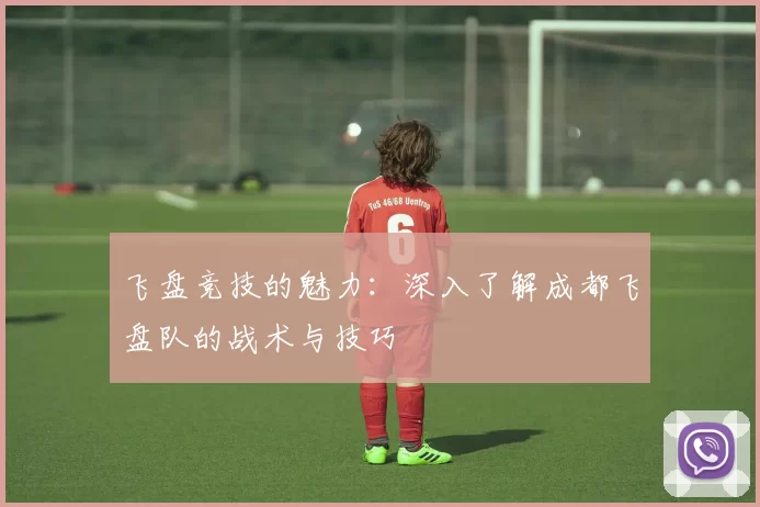 飞盘竞技的魅力：深入了解成都飞盘队的战术与技巧