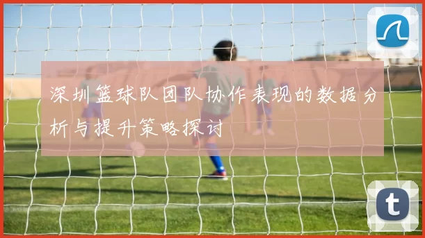 深圳篮球队团队协作表现的数据分析与提升策略探讨