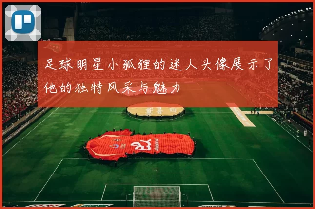 足球明星小狐狸的迷人头像展示了他的独特风采与魅力