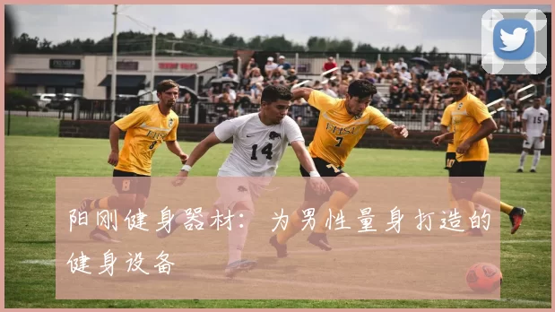 阳刚健身器材：为男性量身打造的健身设备