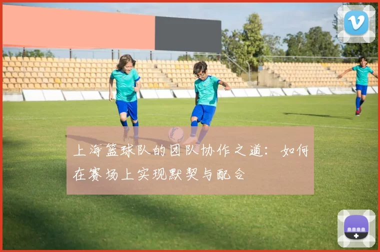 上海篮球队的团队协作之道：如何在赛场上实现默契与配合